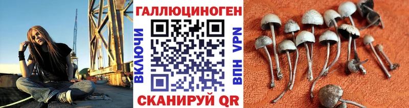 Псилоцибиновые грибы Magic Shrooms  Кыштым 